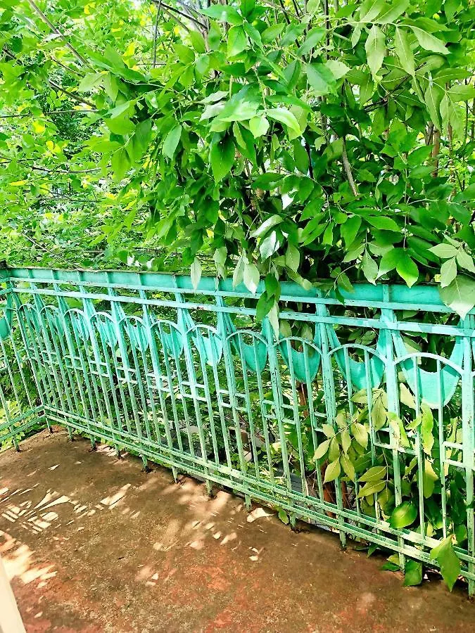 Vintage Apartment 2 Rooms With Balcony 利沃夫